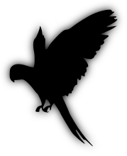 Wedding Logo Icon